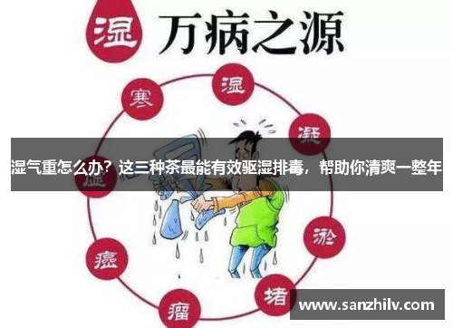 湿气重怎么办？这三种茶最能有效驱湿排毒，帮助你清爽一整年